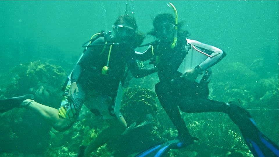 Two students snorkeling in a coral reef