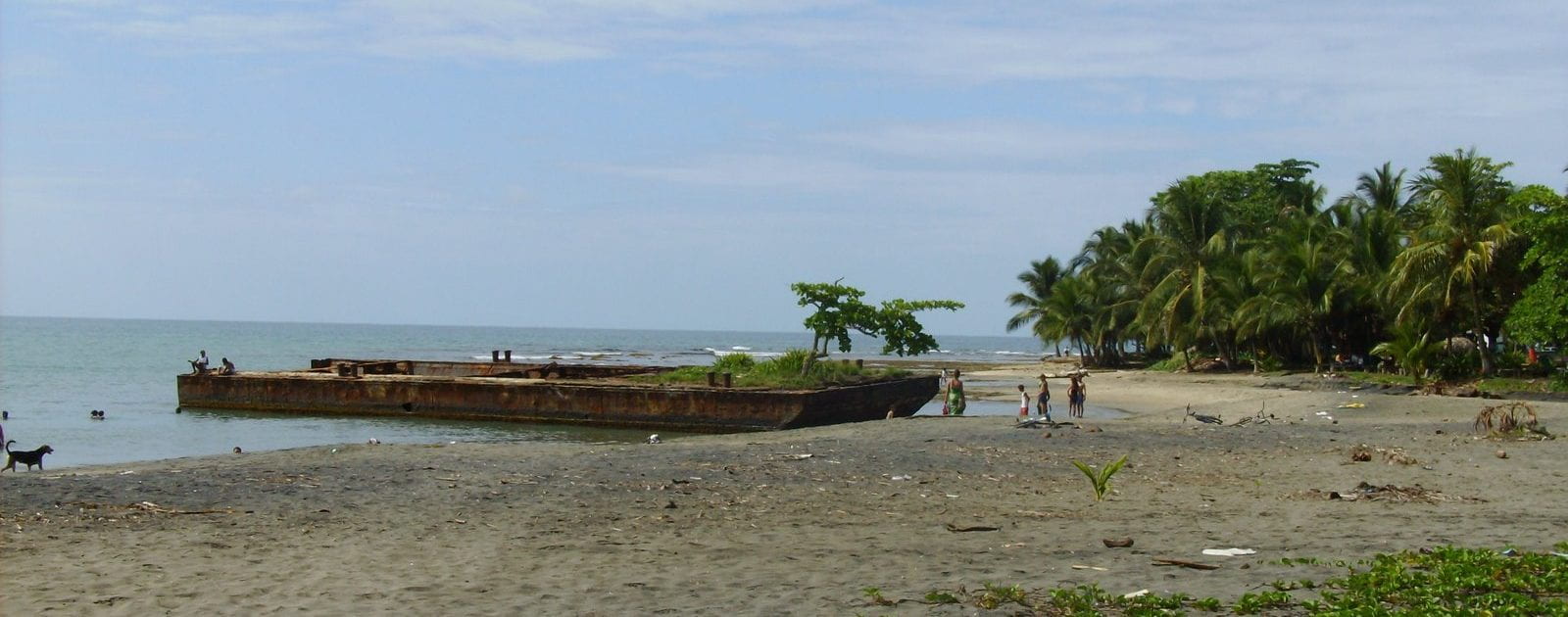 Tree growing out of an old barge on Costa Rican beach